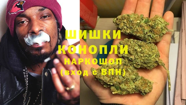 ПСИЛОЦИБИНОВЫЕ ГРИБЫ Алзамай