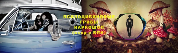 ПСИЛОЦИБИНОВЫЕ ГРИБЫ Алзамай